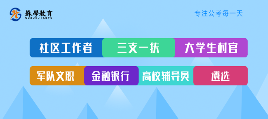 审计事业编A类与B类的深度解析与探讨